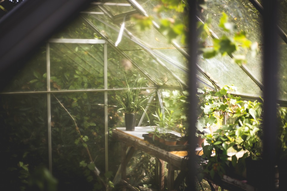 Une serre dans votre jardin